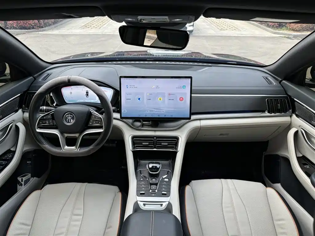 BYD PLUS New Energy 2023 — фото 22