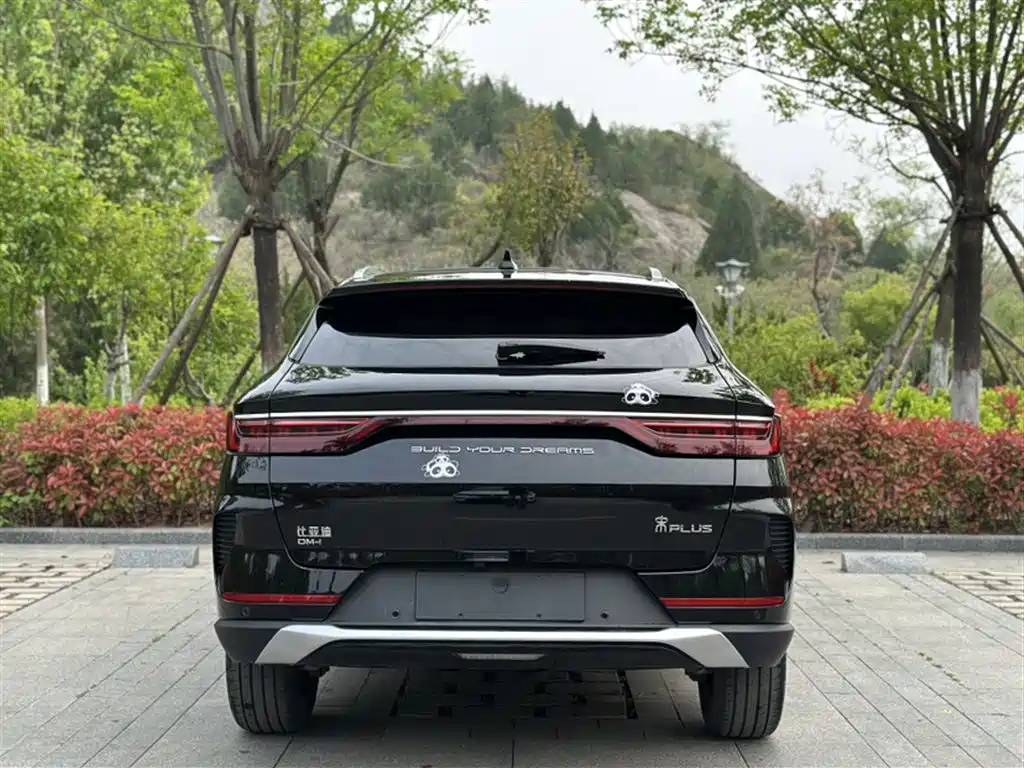 BYD PLUS New Energy 2023 — фото 15