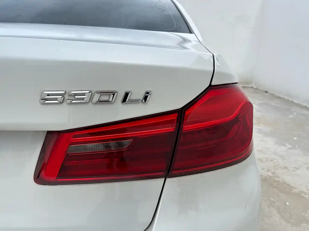 BMW 5 Series 2019 — фото 13