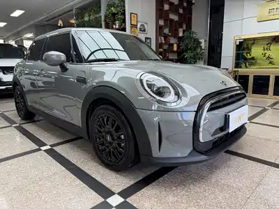 MINI MINI 2021