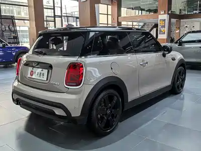 MINI MINI 2024