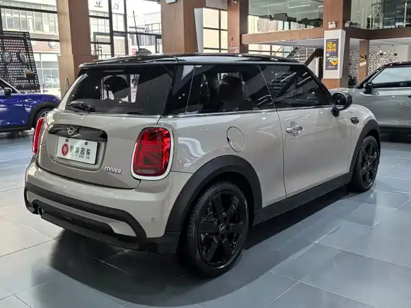 MINI MINI 2024