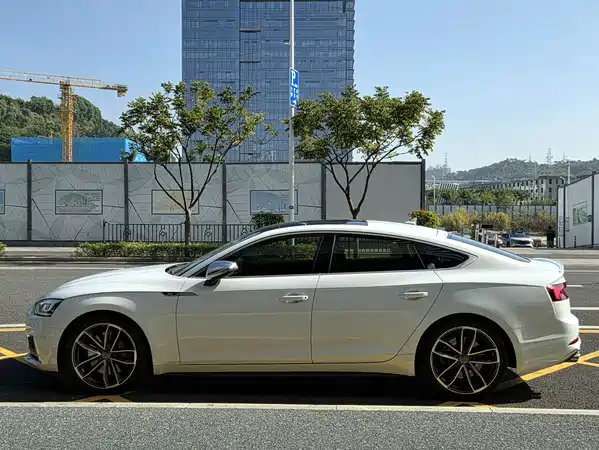 Audi S5 2017
