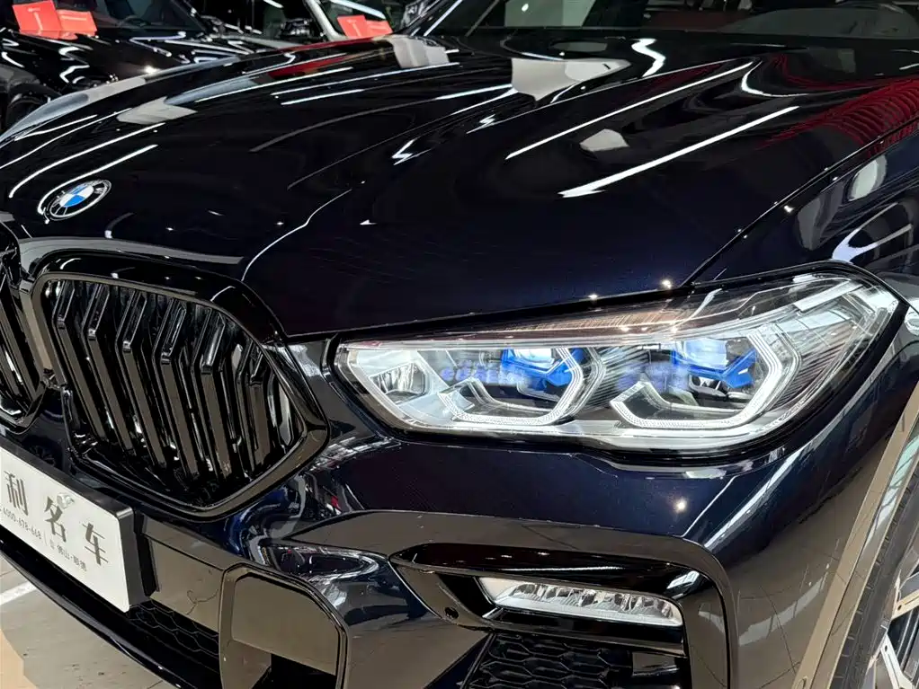 BMW X6 2021