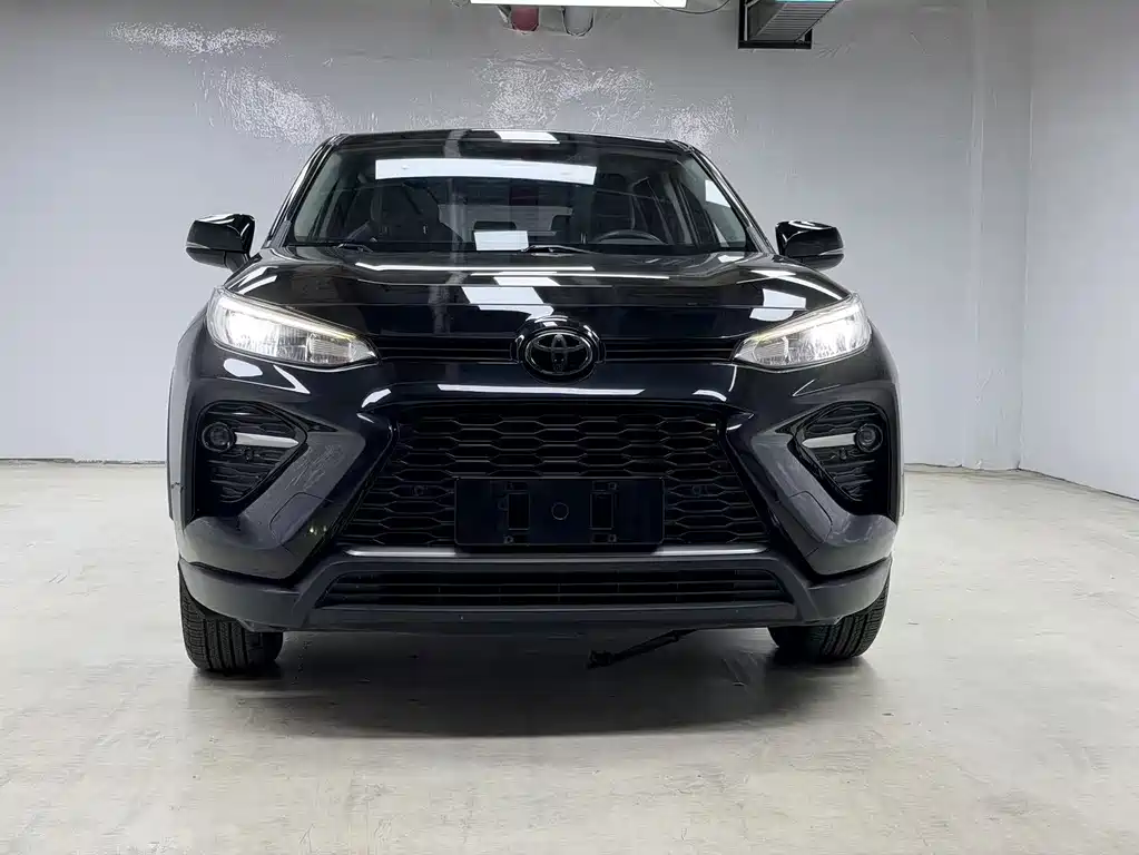 Toyota Wildlander 2021