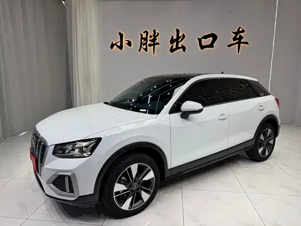 Audi Q2L 2022