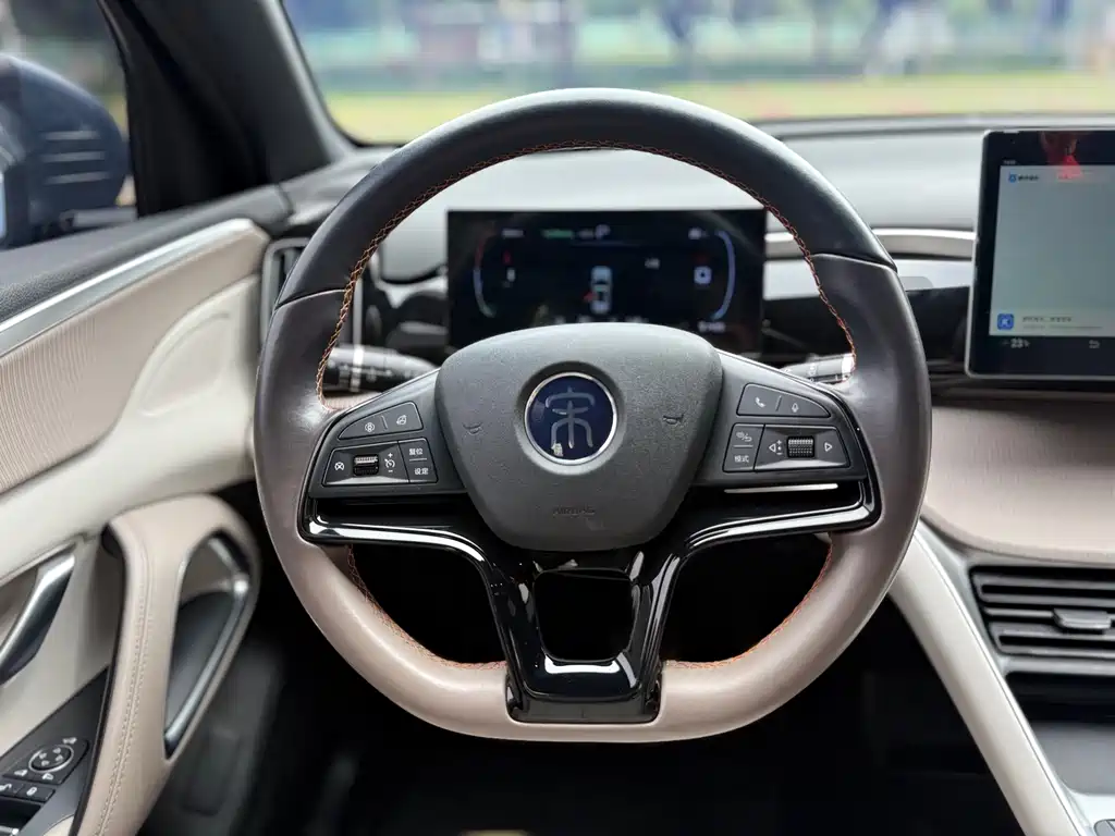 BYD Song Pro New Energy 2024 — фото 17