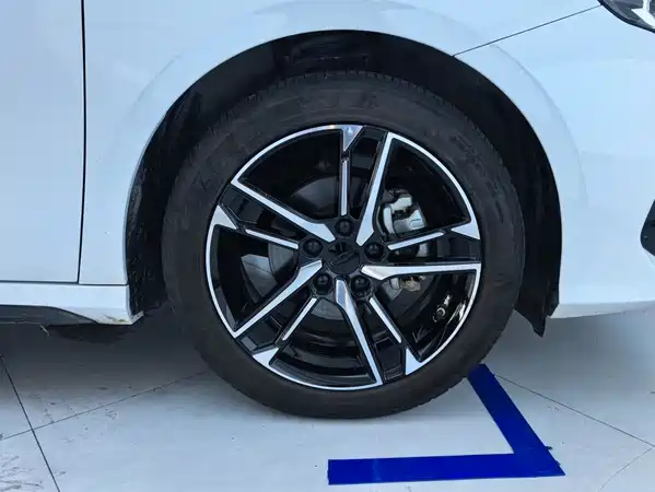 Geely Binrui 2024