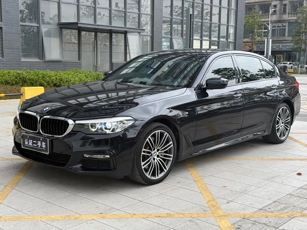 BMW 5 Series 2017 — фото 1