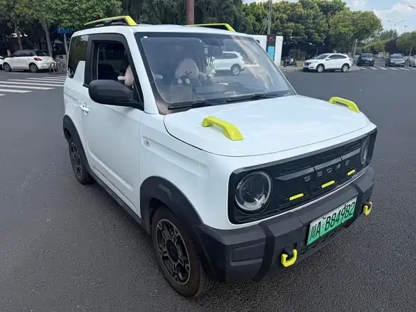 Geely Galaxy Panda 2024