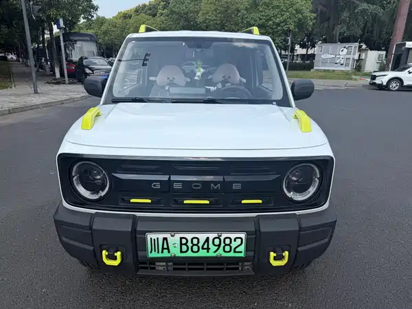 Geely Galaxy Panda 2024