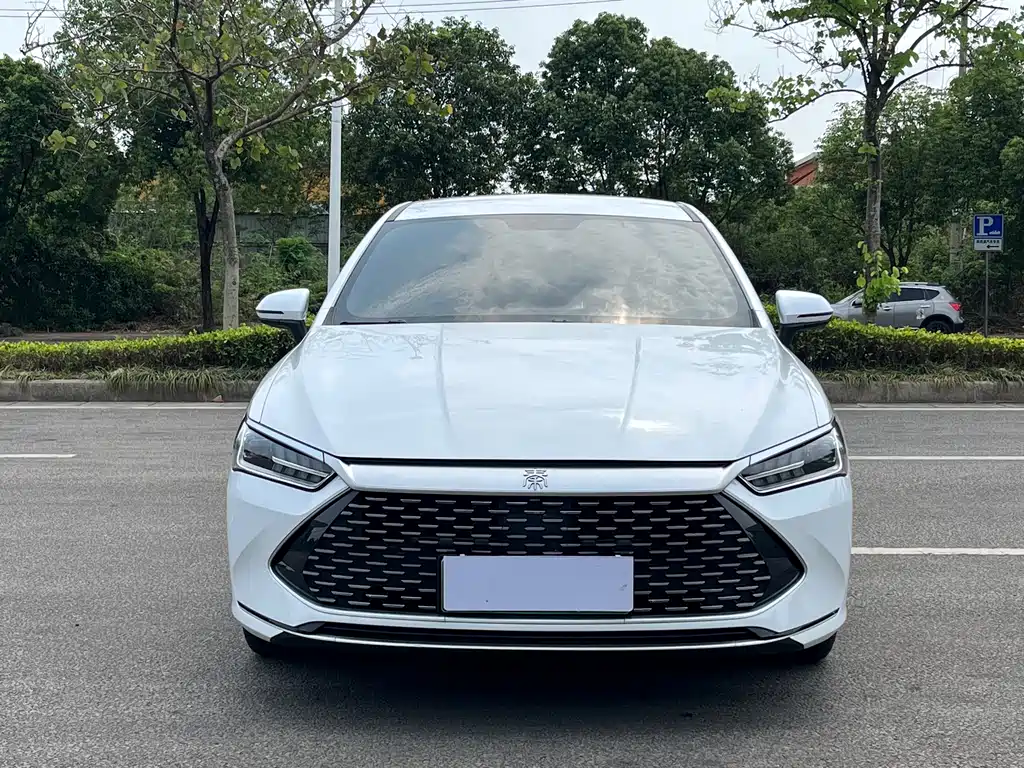 BYD Qin PLUS 2021 — фото 1