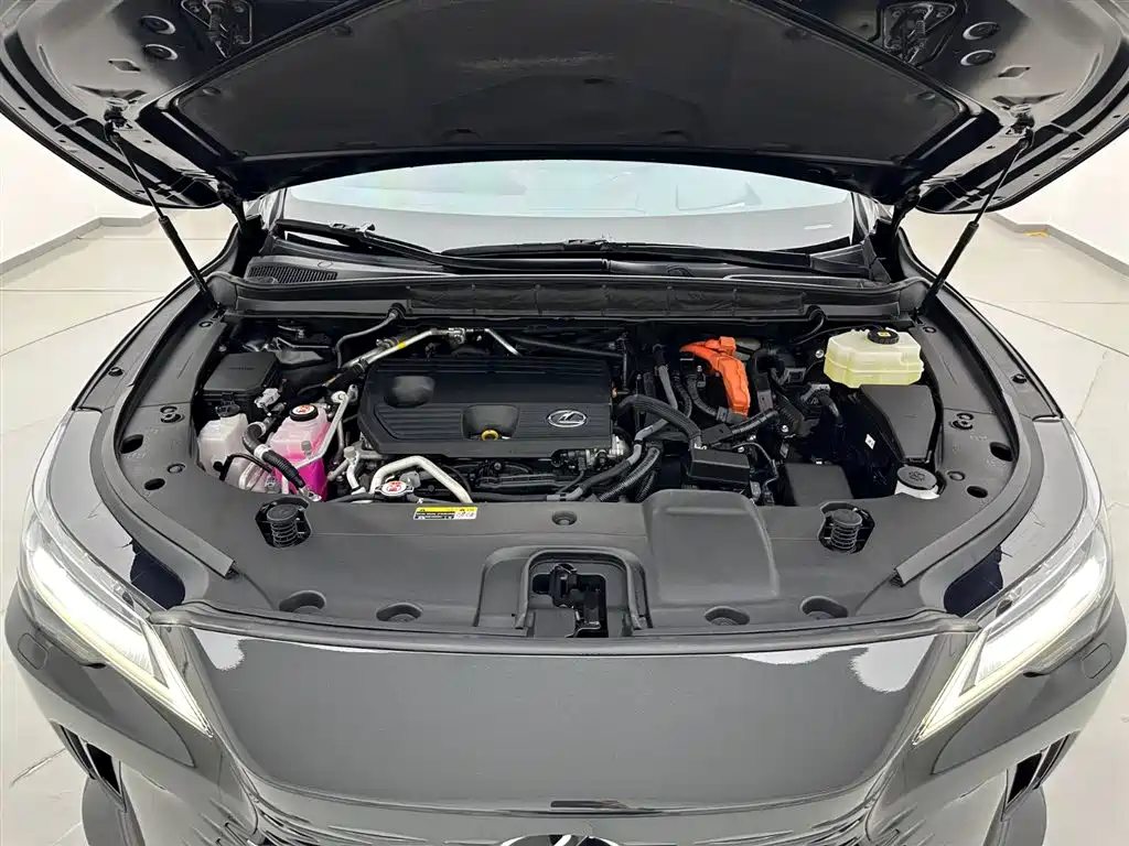 Lexus RX New Energy 2023 — фото 26