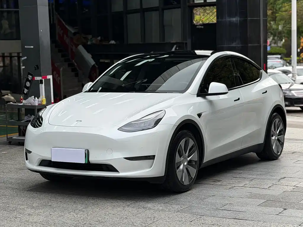 Tesla Model Y 2021 — фото 1