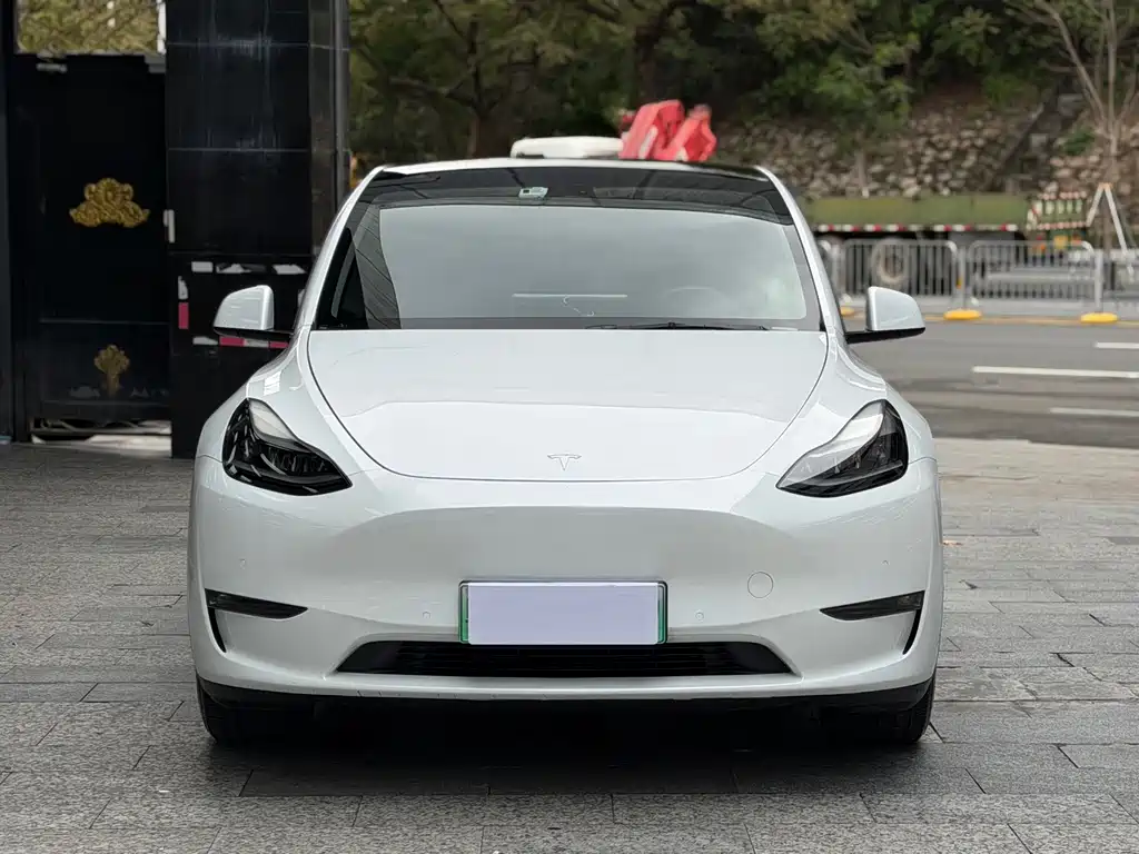 Tesla Model Y 2021 — фото 2