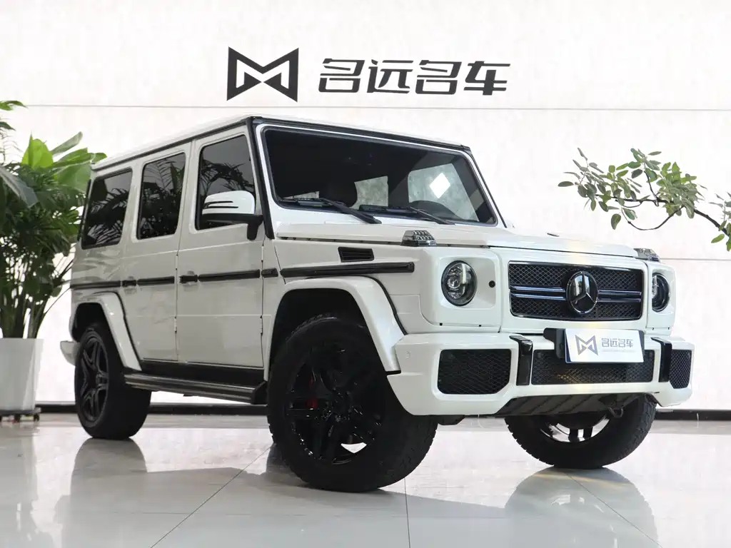 Mercedes-Benz G-Class AMG 2014 — фото 3