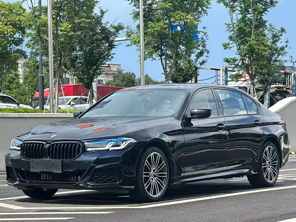BMW 5 Series 2019