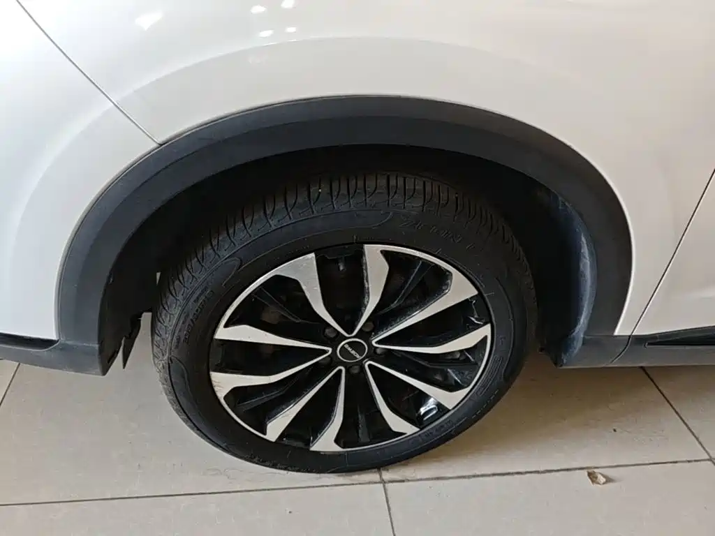 Roewe RX5 MAX 2021 — фото 23