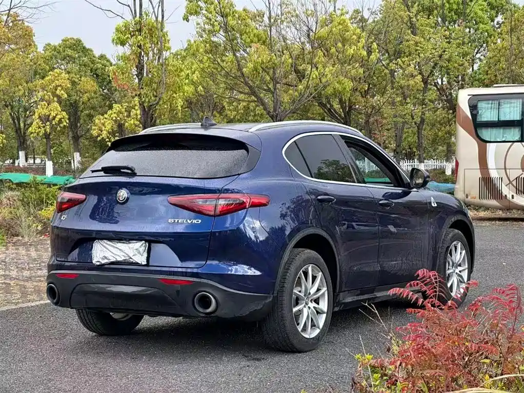 Alfa Romeo Stelvio 2018 — фото 7