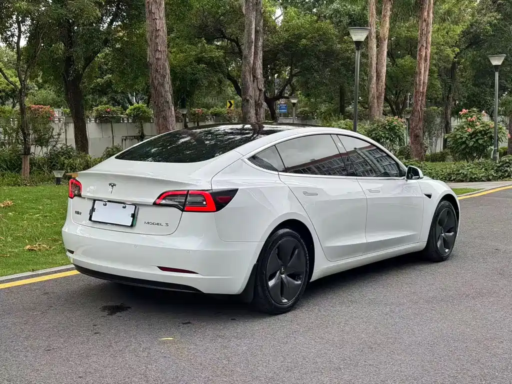 Tesla Model 3 2020 — фото 15