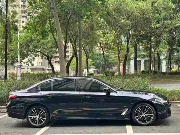 BMW 5 Series 2021