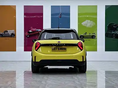 MINI MINI 2025