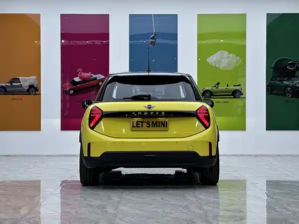 MINI MINI 2025