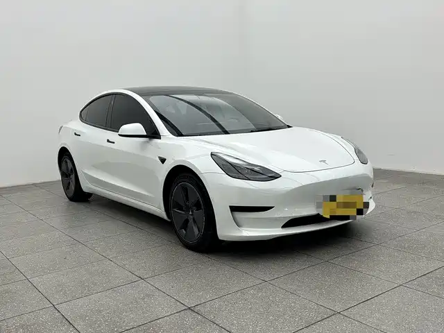 Tesla Model 3 2023 — фото 3