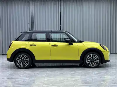 MINI MINI 2025