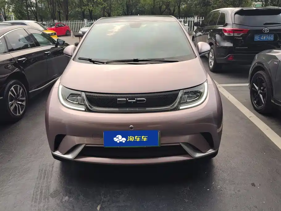 BYD Dolphin 2023