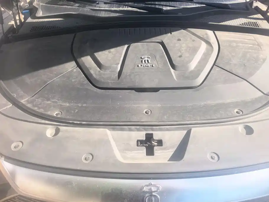 BYD PLUS New Energy 2023 — фото 10