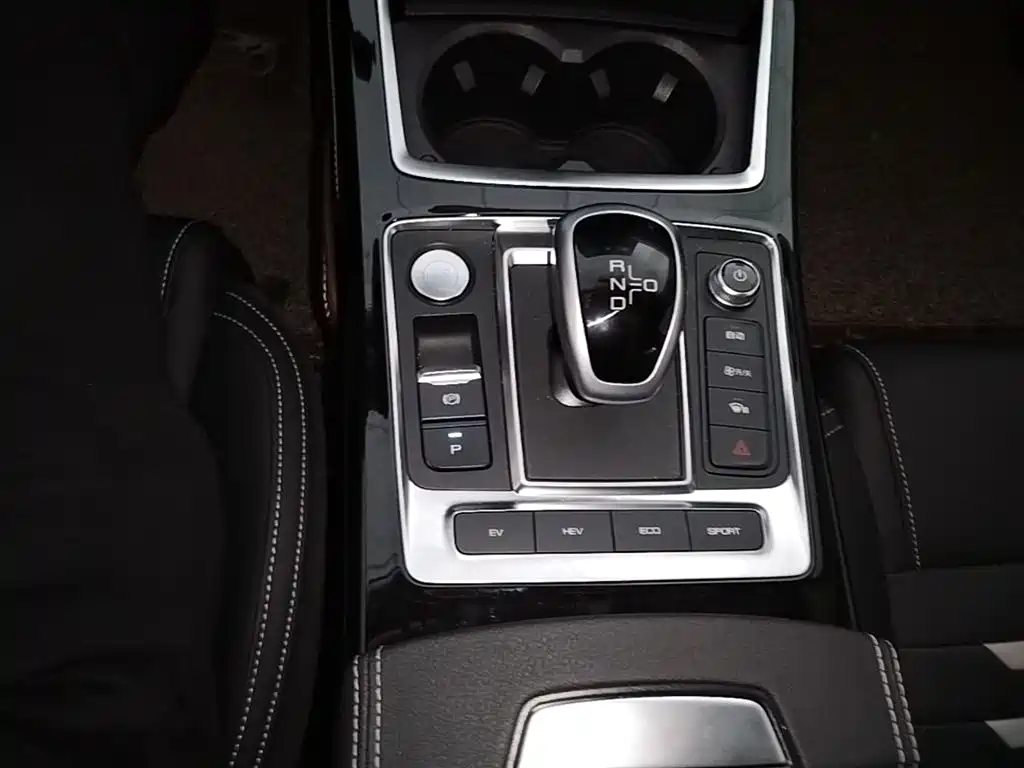 BYD Qin Pro NEV 2020 — фото 14