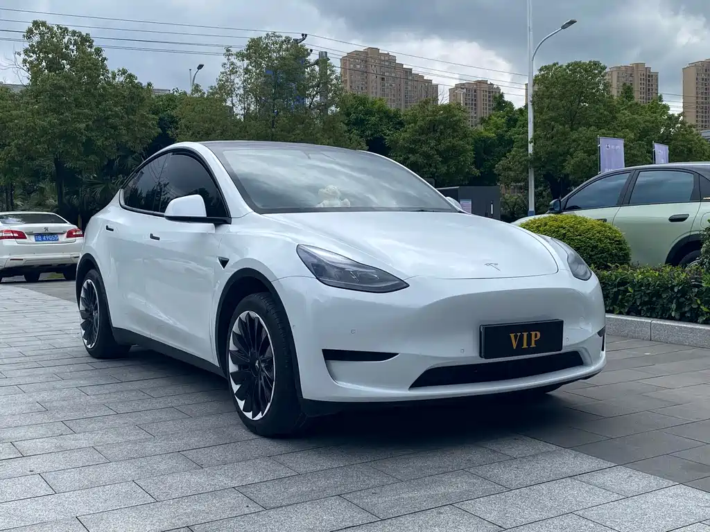 Tesla Model Y 2023 — фото 3