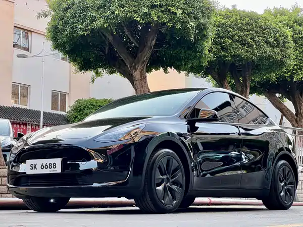 Tesla Model Y 2024