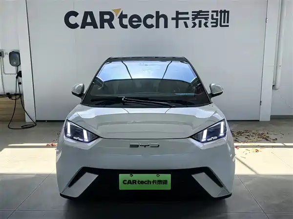 BYD Seagull 2024