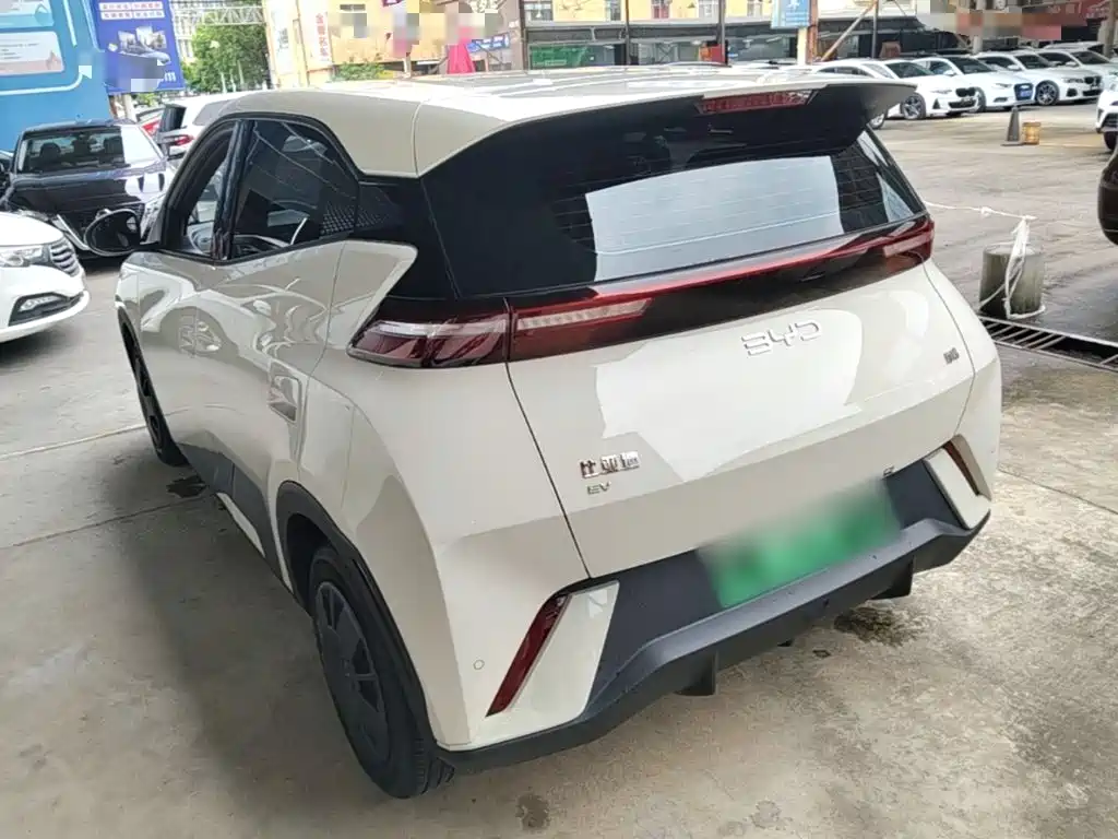 BYD Seagull 2024