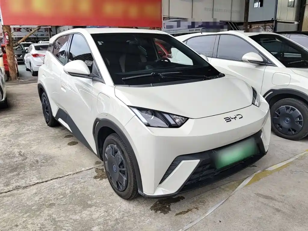 BYD Seagull 2024