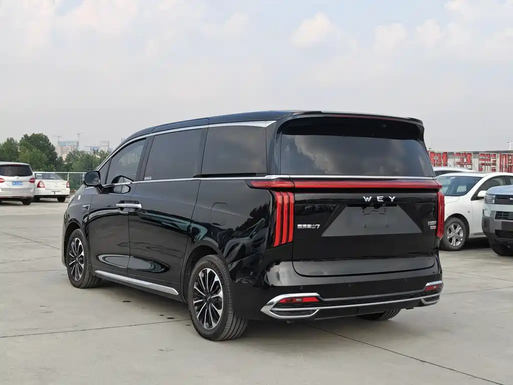 Wey Gaoshan 2025
