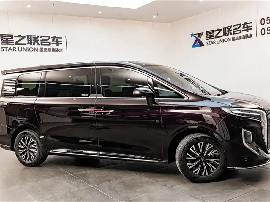 Hongqi HQ9 2025 — фото 4