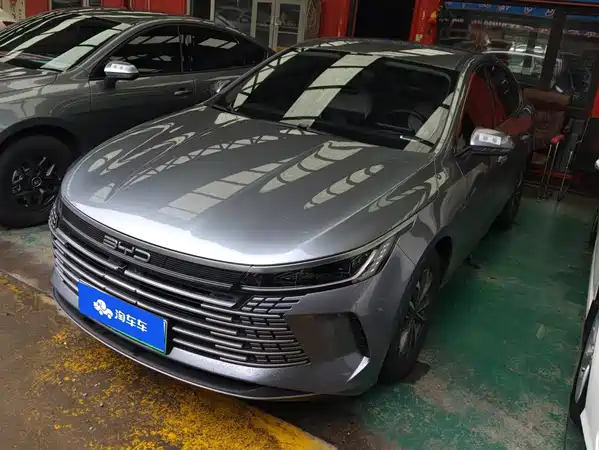 BYD Destroyer 05 2024