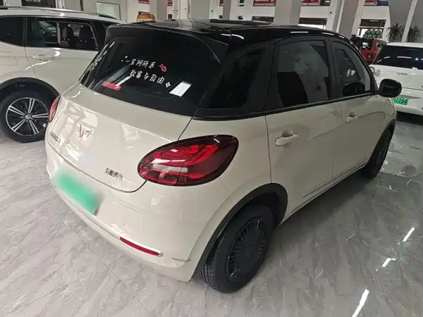 Wuling Bingo 2024