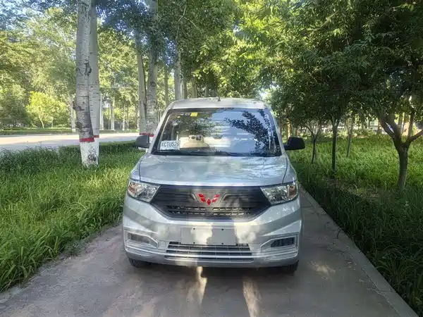Wuling Hongguang V 2022
