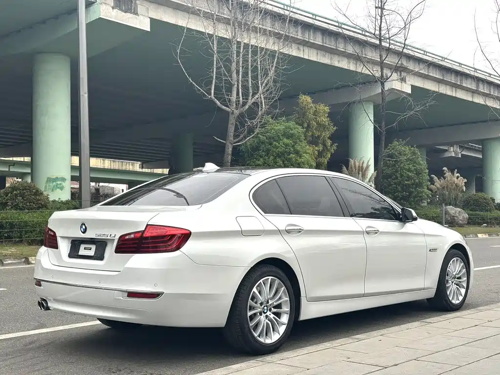 BMW 5 Series 2015 — фото 10
