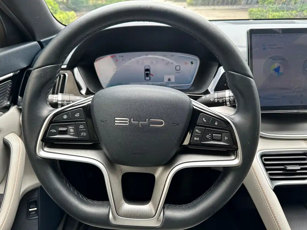 BYD PLUS New Energy 2024 — фото 26