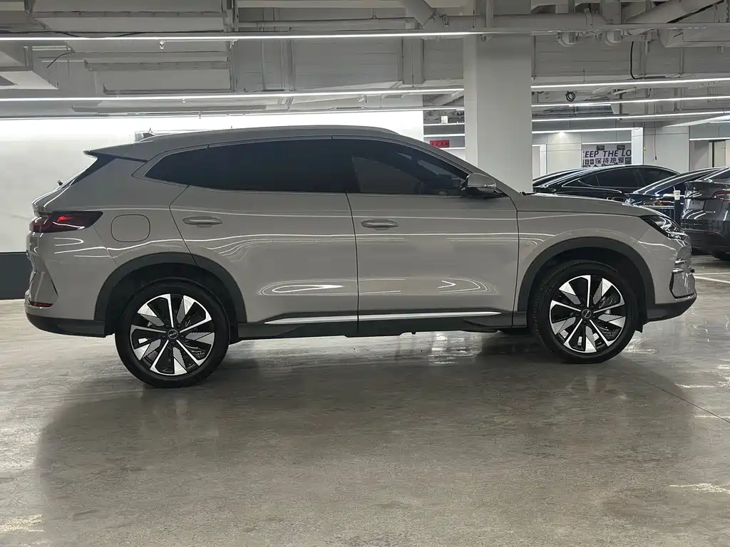 BYD PLUS New Energy 2024 — фото 14