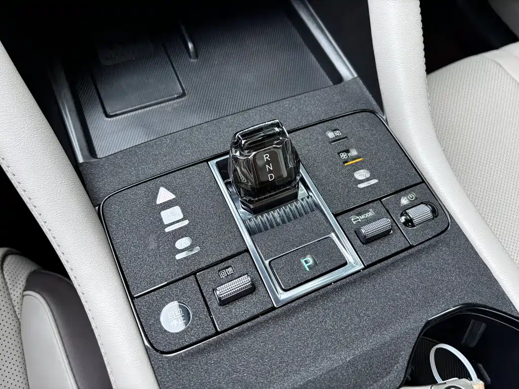 BYD PLUS New Energy 2025 — фото 16