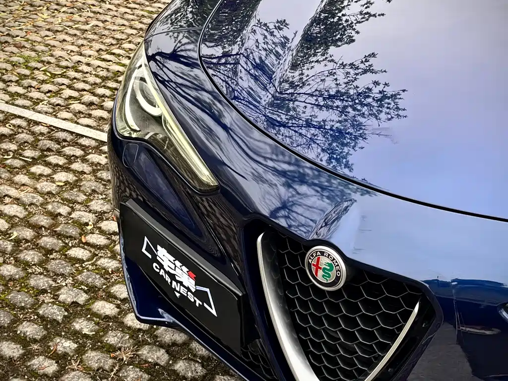 Alfa Romeo Stelvio 2019 — фото 15