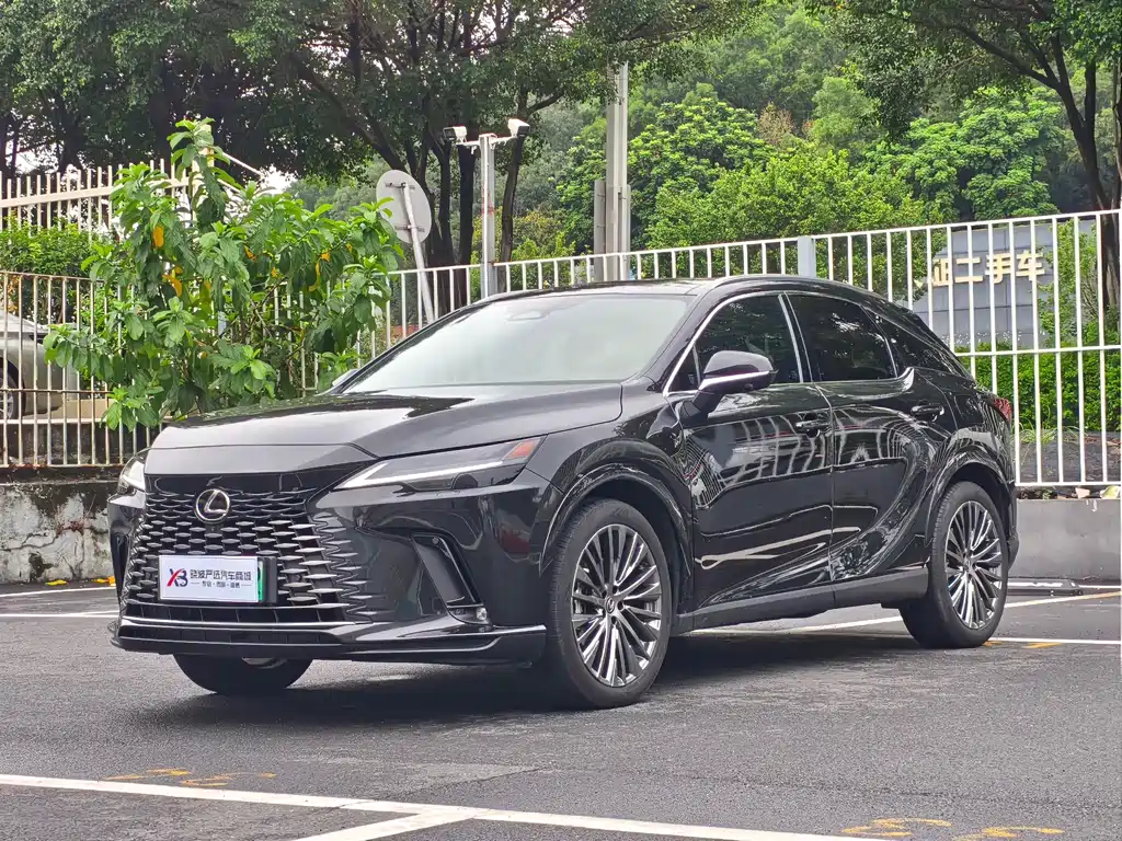 Lexus RX New Energy 2024 — фото 1