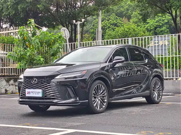 Lexus RX New Energy 2024