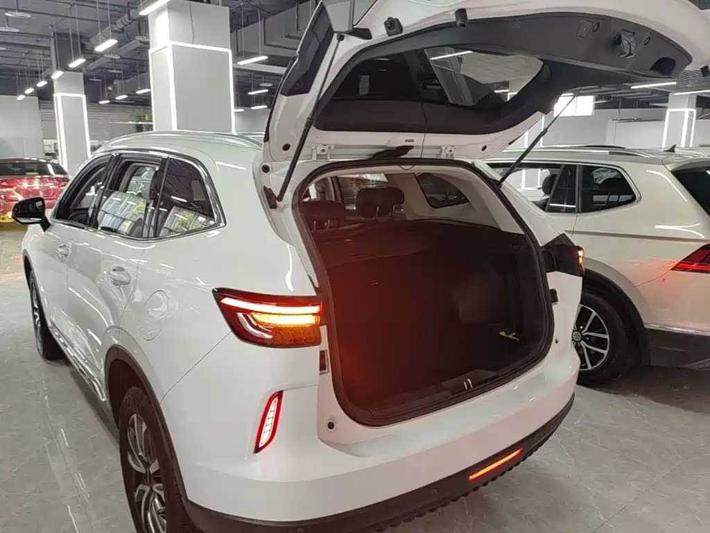 Haval H6 2023 — фото 19